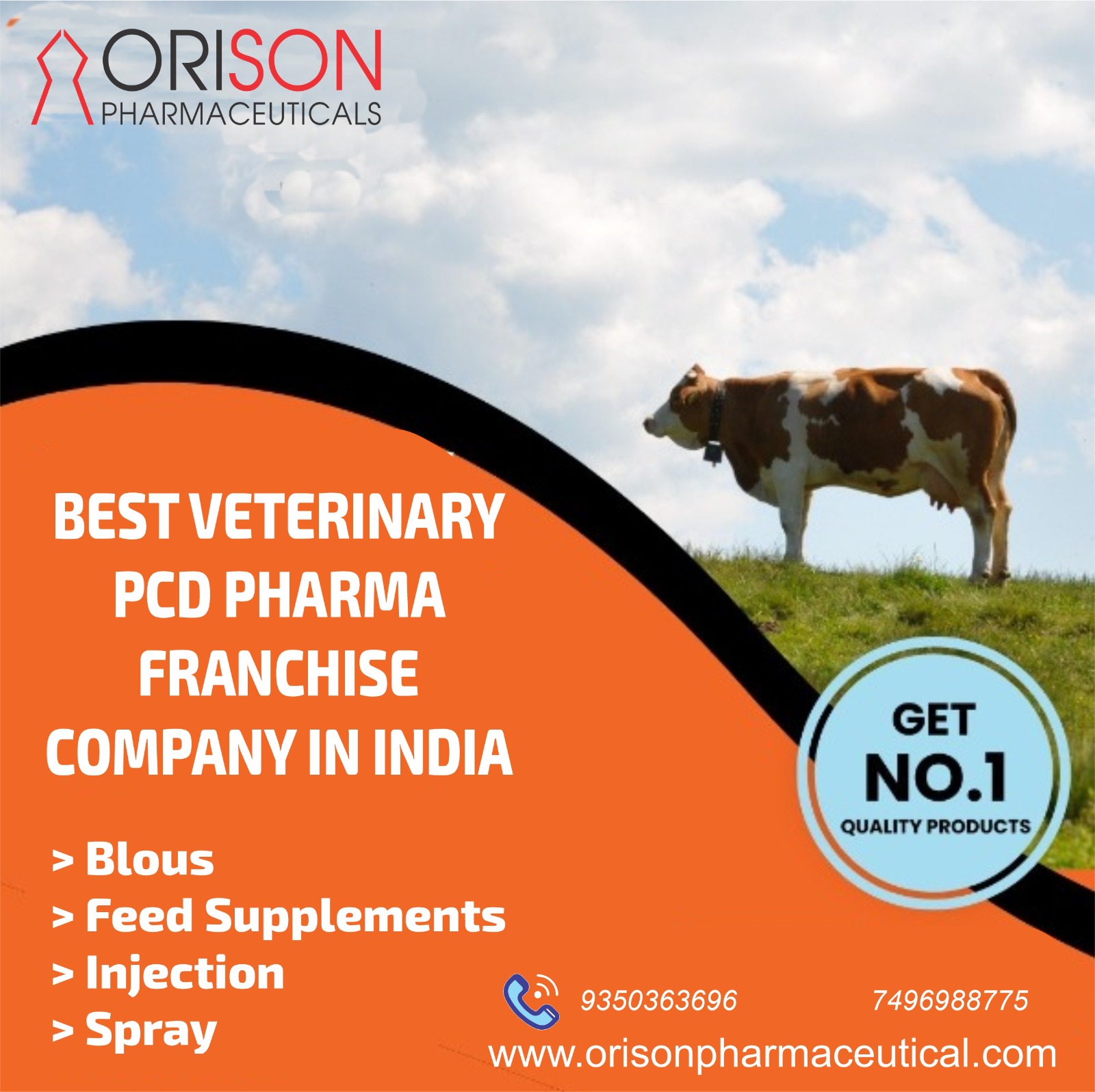 Best Veterinary PCD Pharma Company In India - Orison Pharmaceuticals