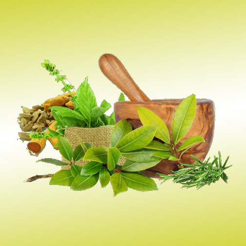 best Ayurvedic Third Party Medicine Manufacturer In Haryana