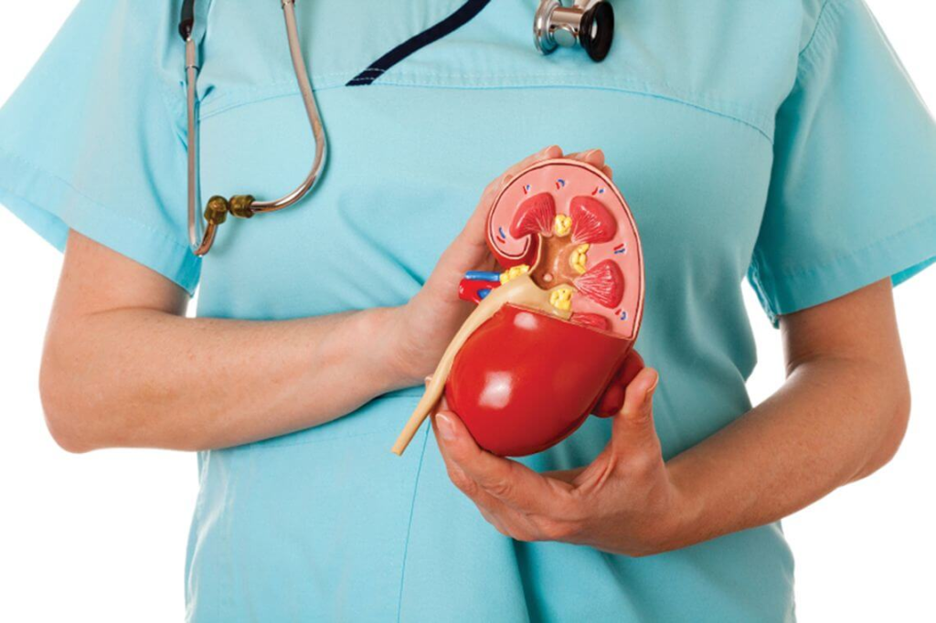 kidney transplant costs in Delhi