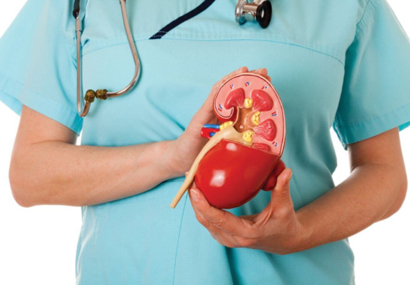 kidney transplant costs in Delhi