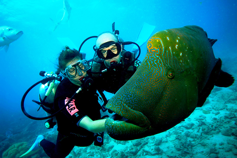 scuba diving in Andaman