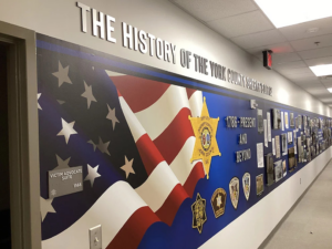 Timeline Wall Displays