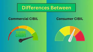 CIBIL consumer login