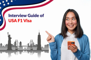 us visa consultants